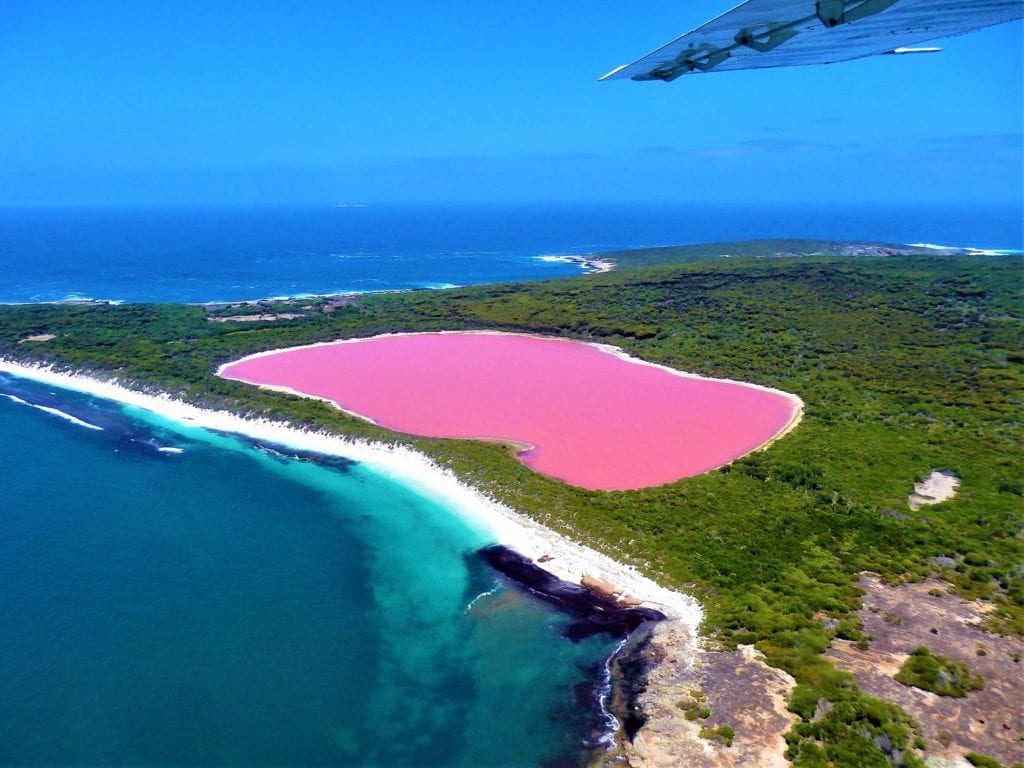 Swim In Lake Hillier Australia S Pink Lake