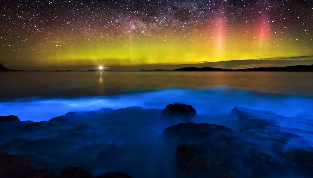 Sea of Stars – Vaadhoo, Maldives - Atlas Obscura