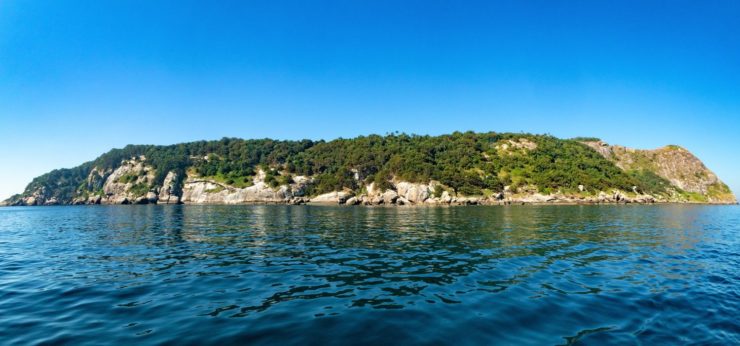 Deadly Brazil’s Snake Island: Ilha de Queimada Grande