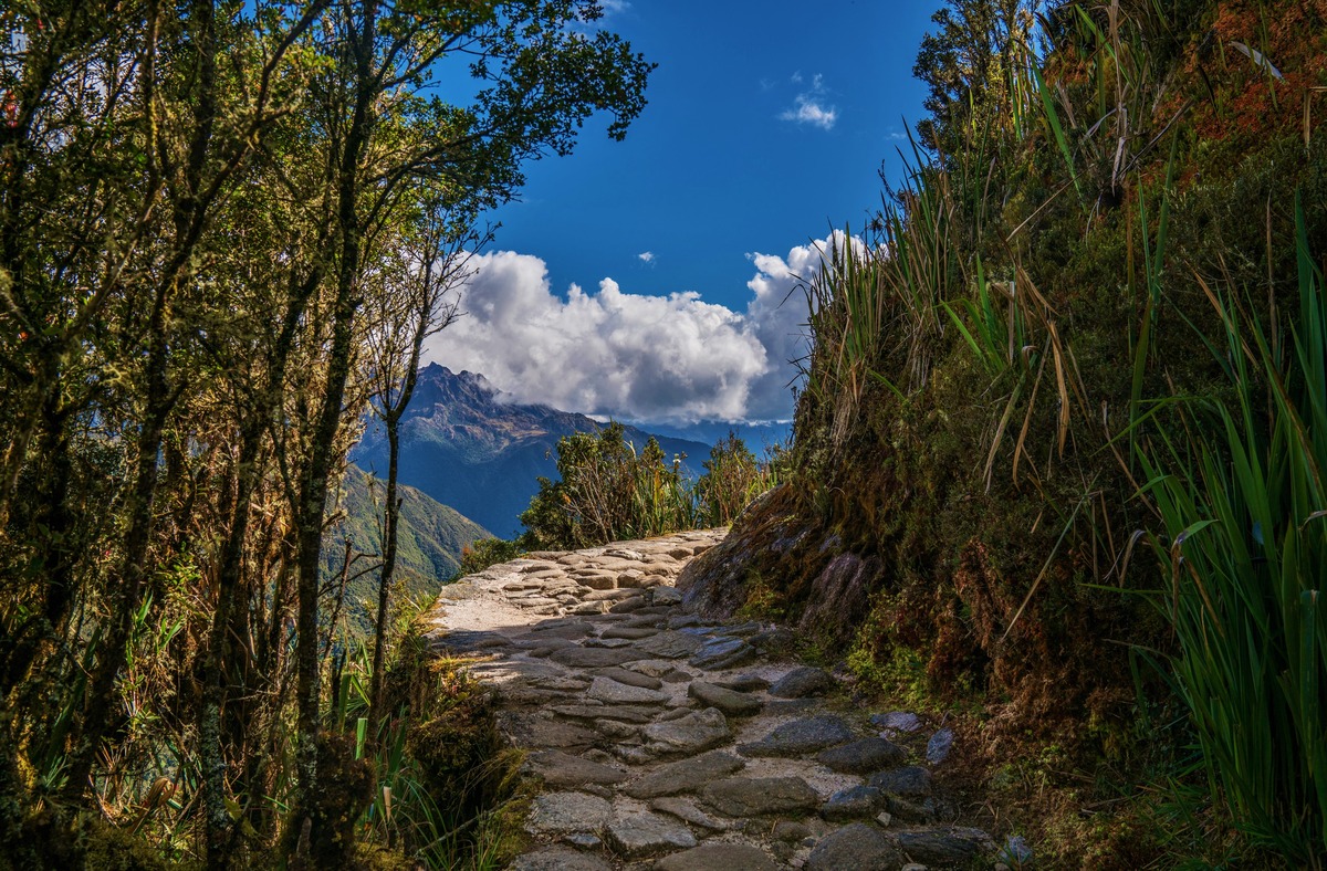 Inca Trail Trek to Machu Picchu