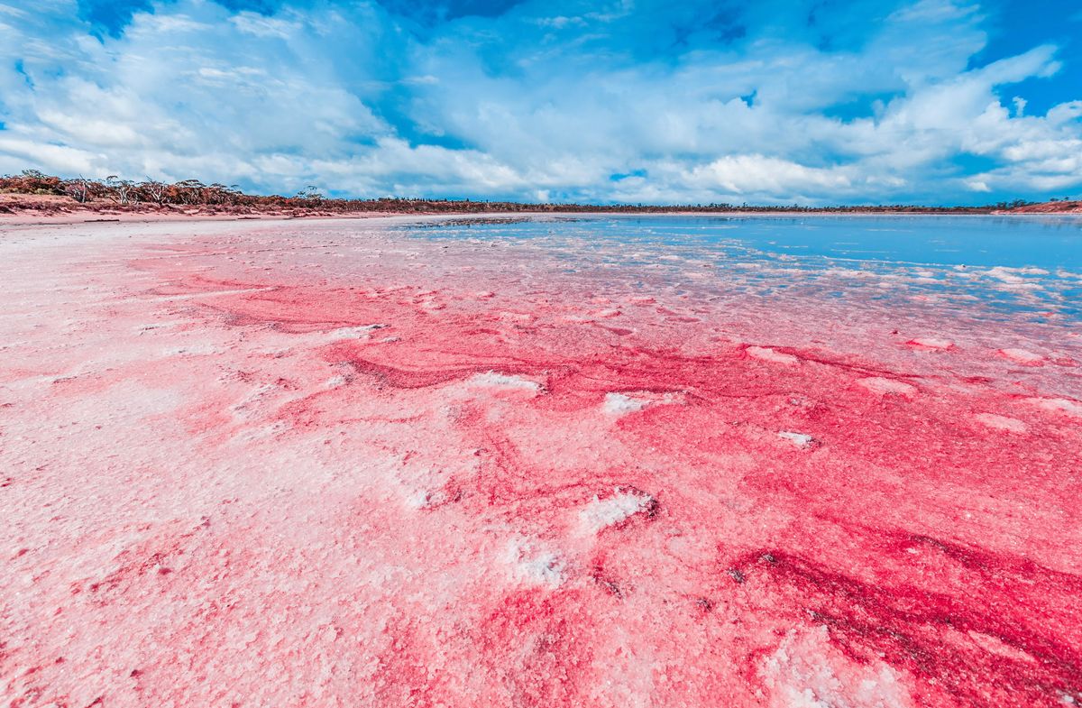 Lake Hillier: The Story Behind Australia's Pink Lake