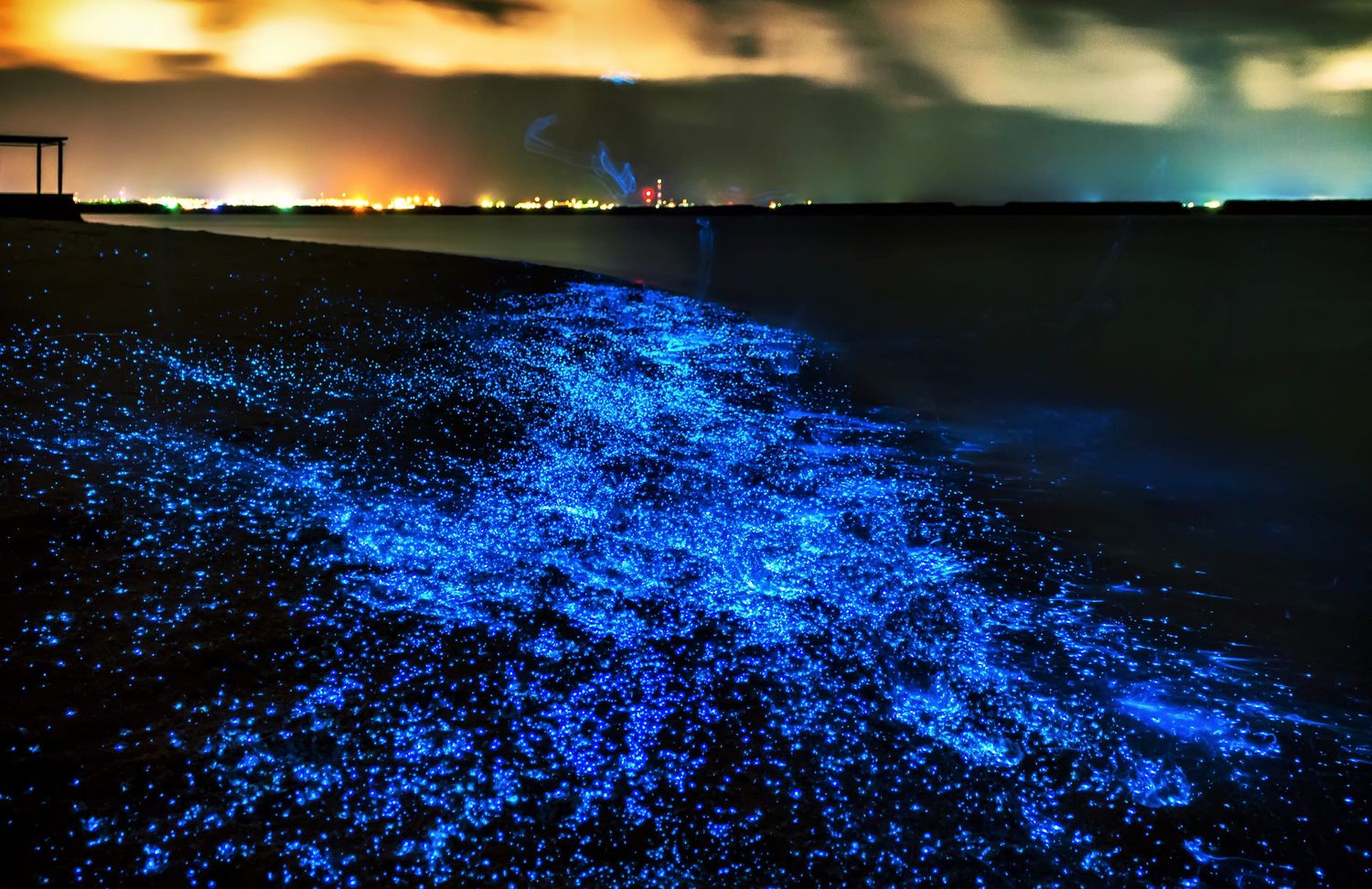 Discover the starry beach on the island of Vaadhoo in Maldives
