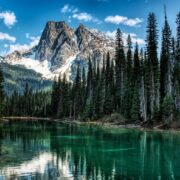 Top British Columbia Experiences
