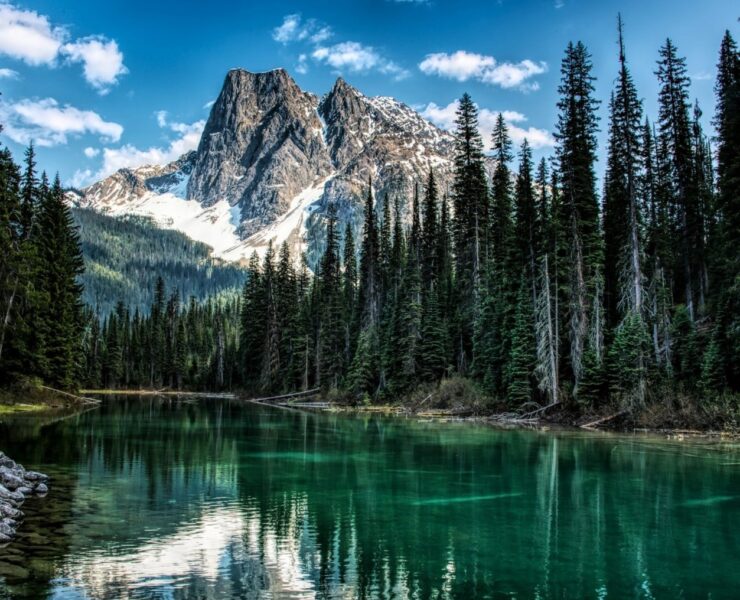 Top British Columbia Experiences