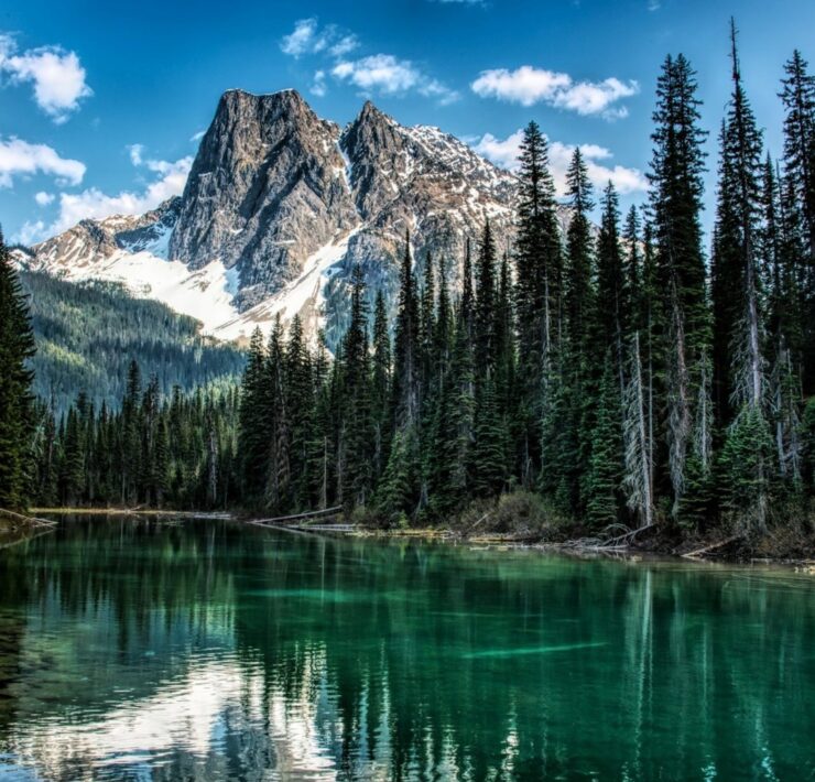 Top British Columbia Experiences