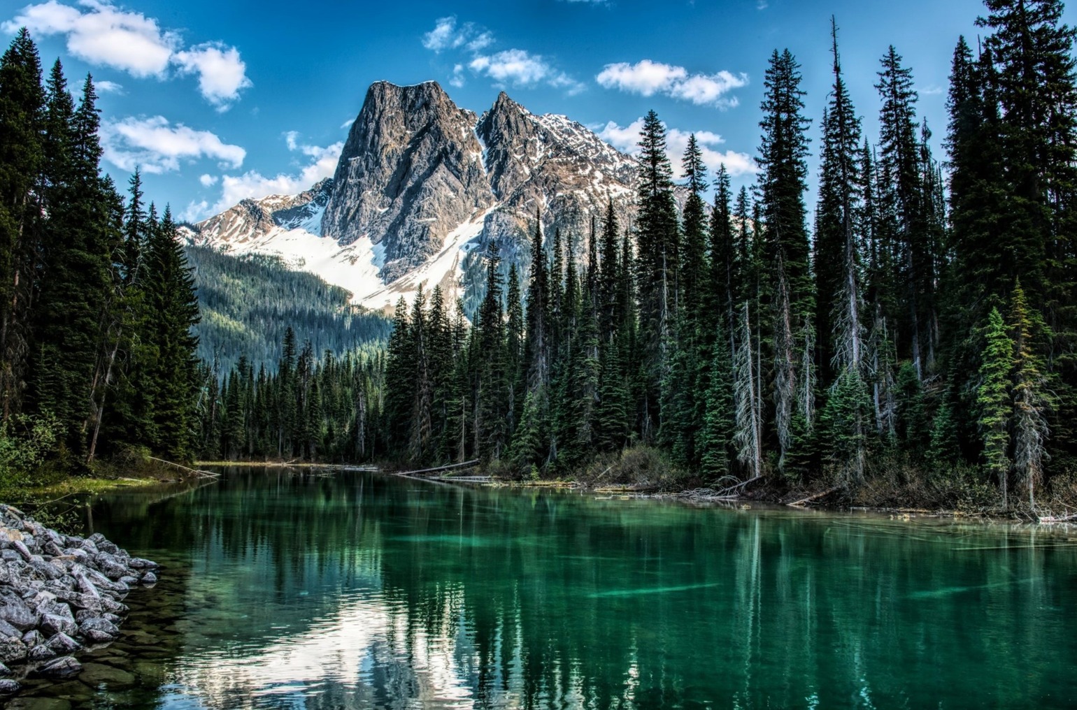 Top British Columbia Experiences