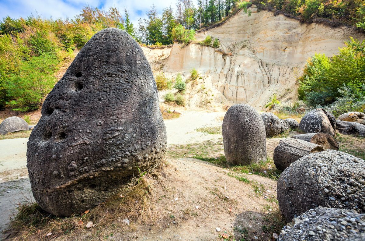 растущие камни фото